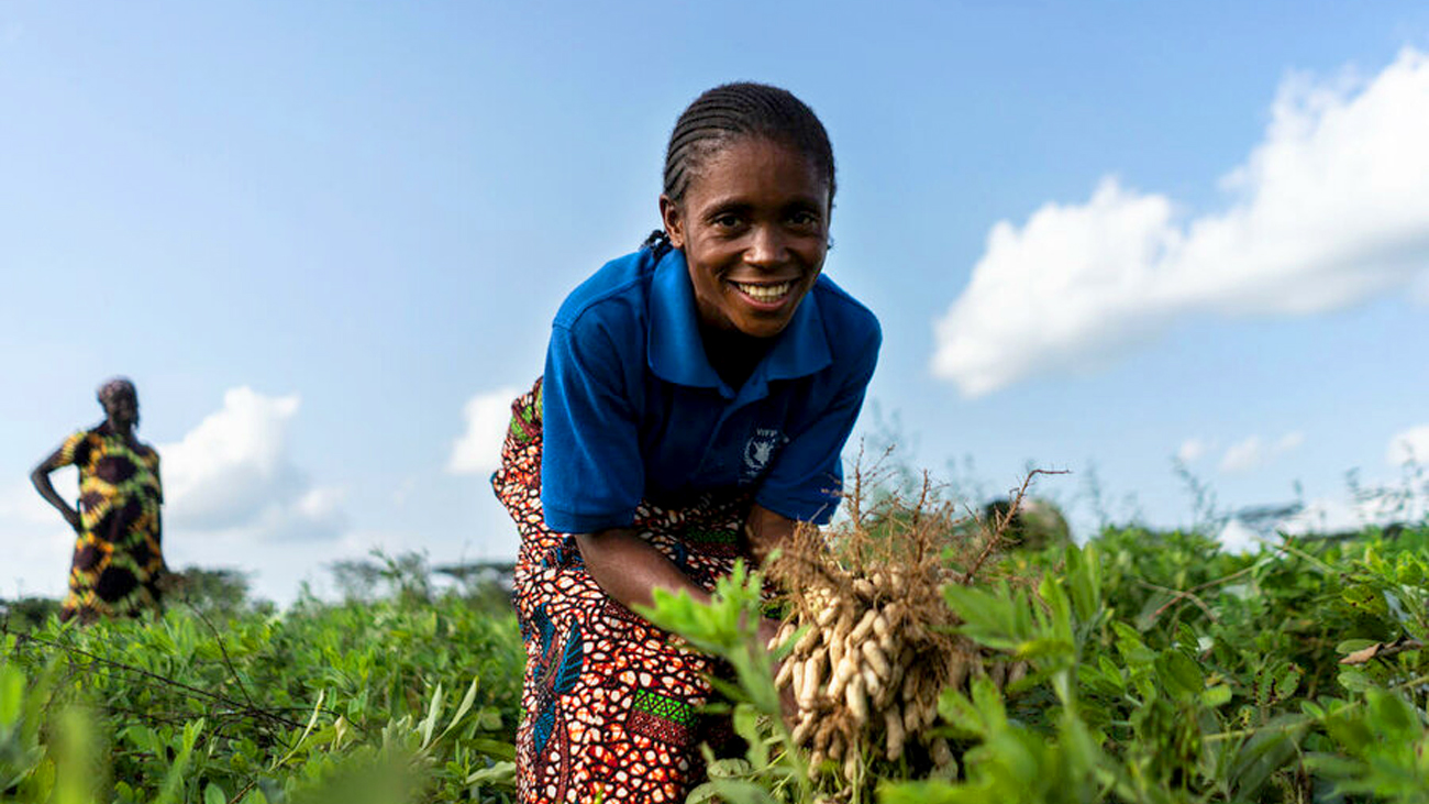 imagem sem descrição.