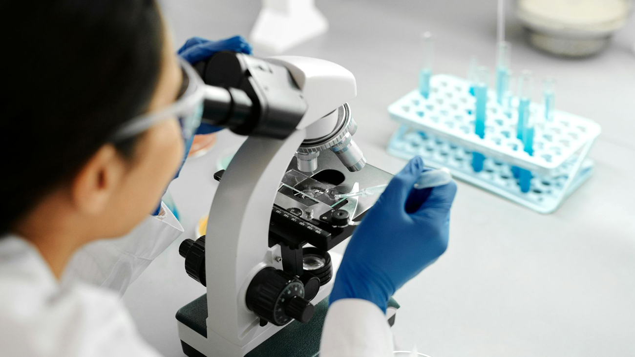 imagem sem descrição.